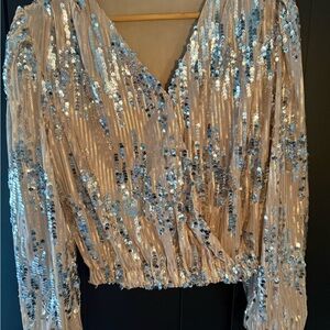 Sequin V-Neck Long Sleeve Top